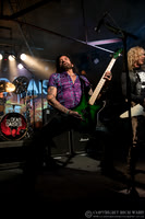 Dead Daisies