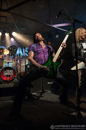 Dead Daisies