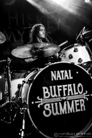 Buffalo Summer