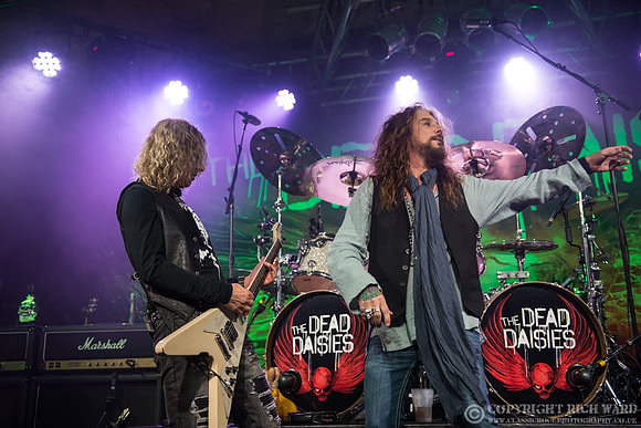 Dead Daisies