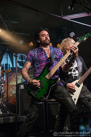 Dead Daisies